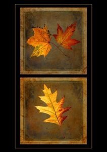 Sarah Townley Autumn Leaves left