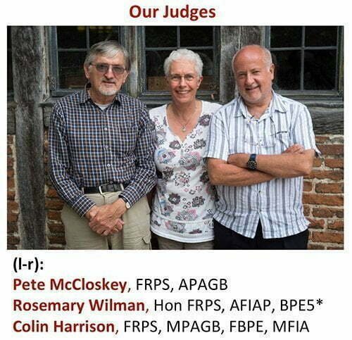 our Judges V2 500x483px WNE 2015