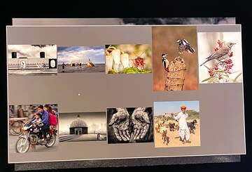 WPS 2019/20 PDI League Competition Results