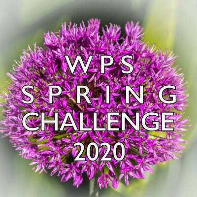 WPS Spring Challenge 2020