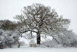 29 September - Looking Local