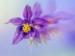 22 September – Creative Photography John Humphrey