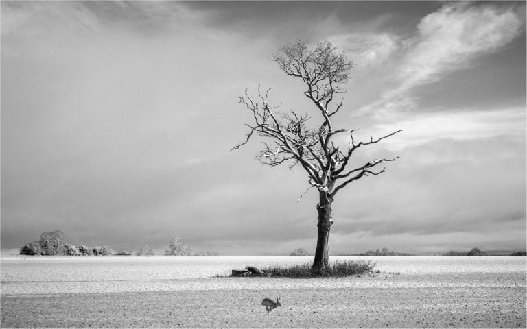 2020-21 Print League Round 3 – Mono