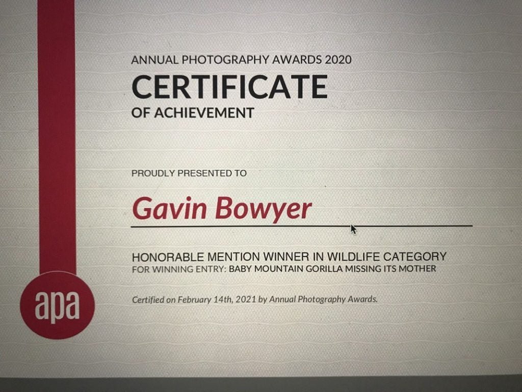 WPS Member Successes