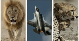 30 March 2021 Sue Morris