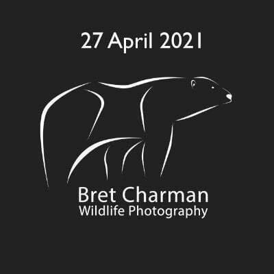 27 April 2021 Bret Charman