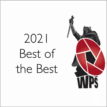 Best of the Best 2021