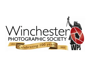 WPS centenary logo