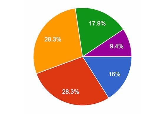 Survey Pie CHart